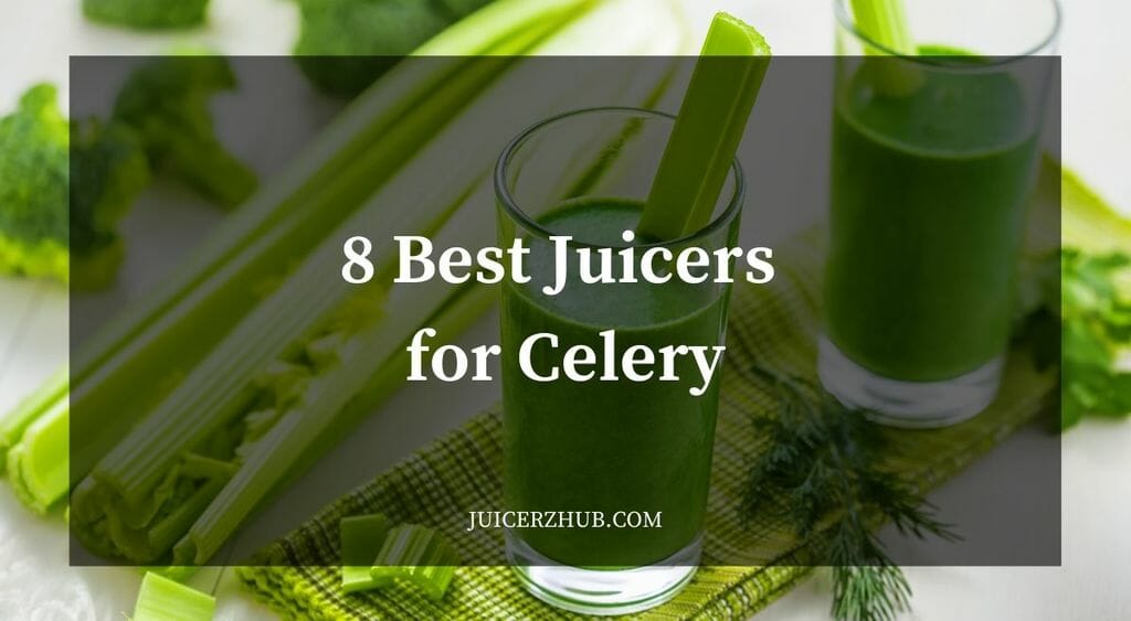 Best Juicer for Celery
